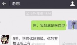 搞笑新闻爆料视频,笑到肚子疼的瞬间