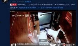 网红爆料家暴视频,暴力真相令人震惊